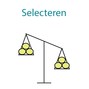 de S van RISC